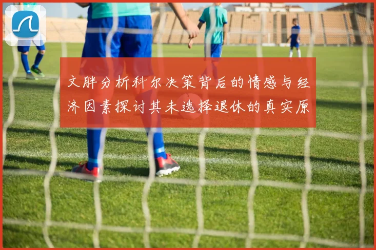 文胖分析科尔决策背后的情感与经济因素探讨其未选择退休的真实原因